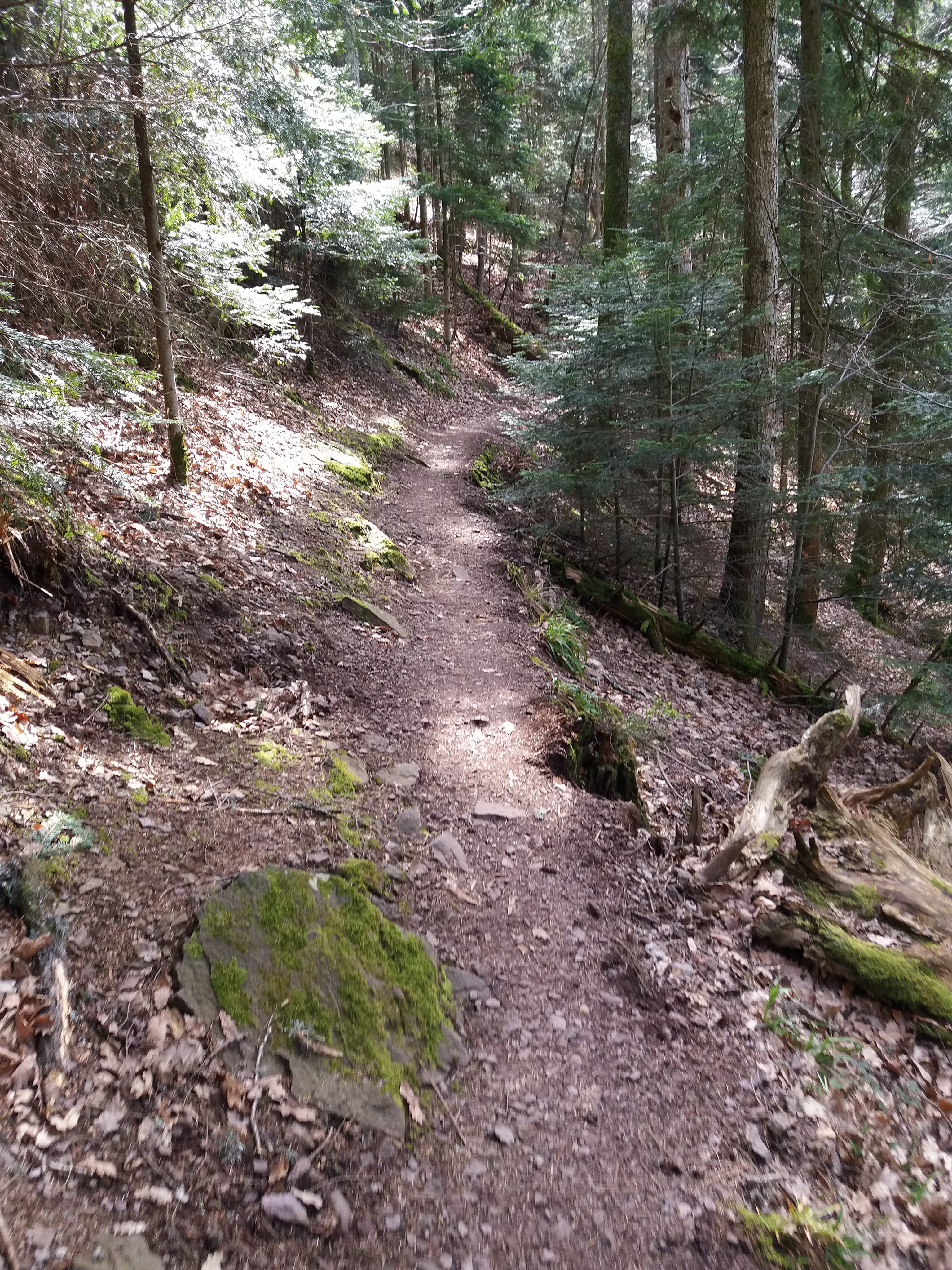 Photo n° 30 de l'avis de yann.a fait le 12/04/2018 à 05:08