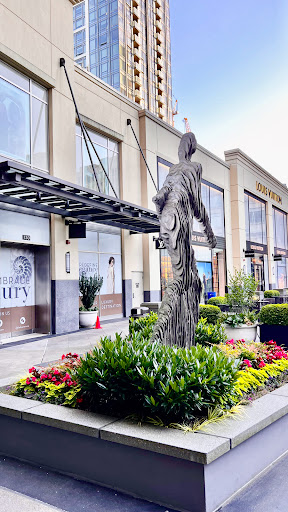 Shopping Mall «The Shops At The Bravern», reviews and photos, 11111 NE 8th St, Bellevue, WA 98004, USA