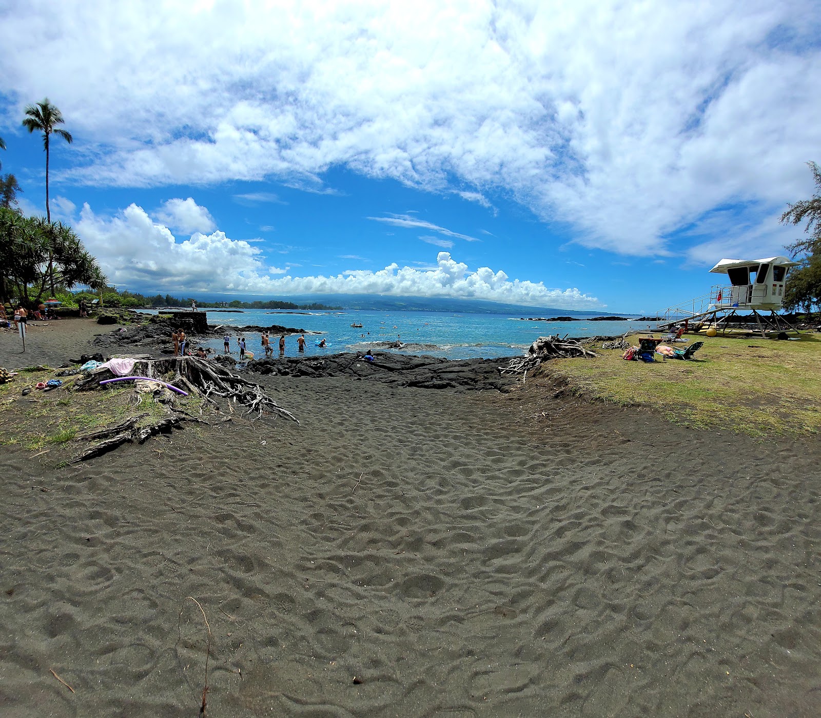 Richardson Ocean Park photo #8