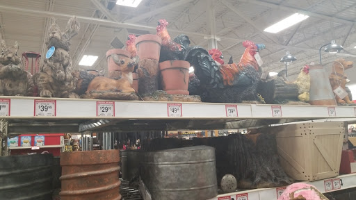 Home Improvement Store «Tractor Supply Co.», reviews and photos, 1869 NJ-38, Southampton Township, NJ 08088, USA