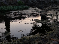 Fassnight Pool - Photo 5 - Car repair in Springfield, MO, Springfield