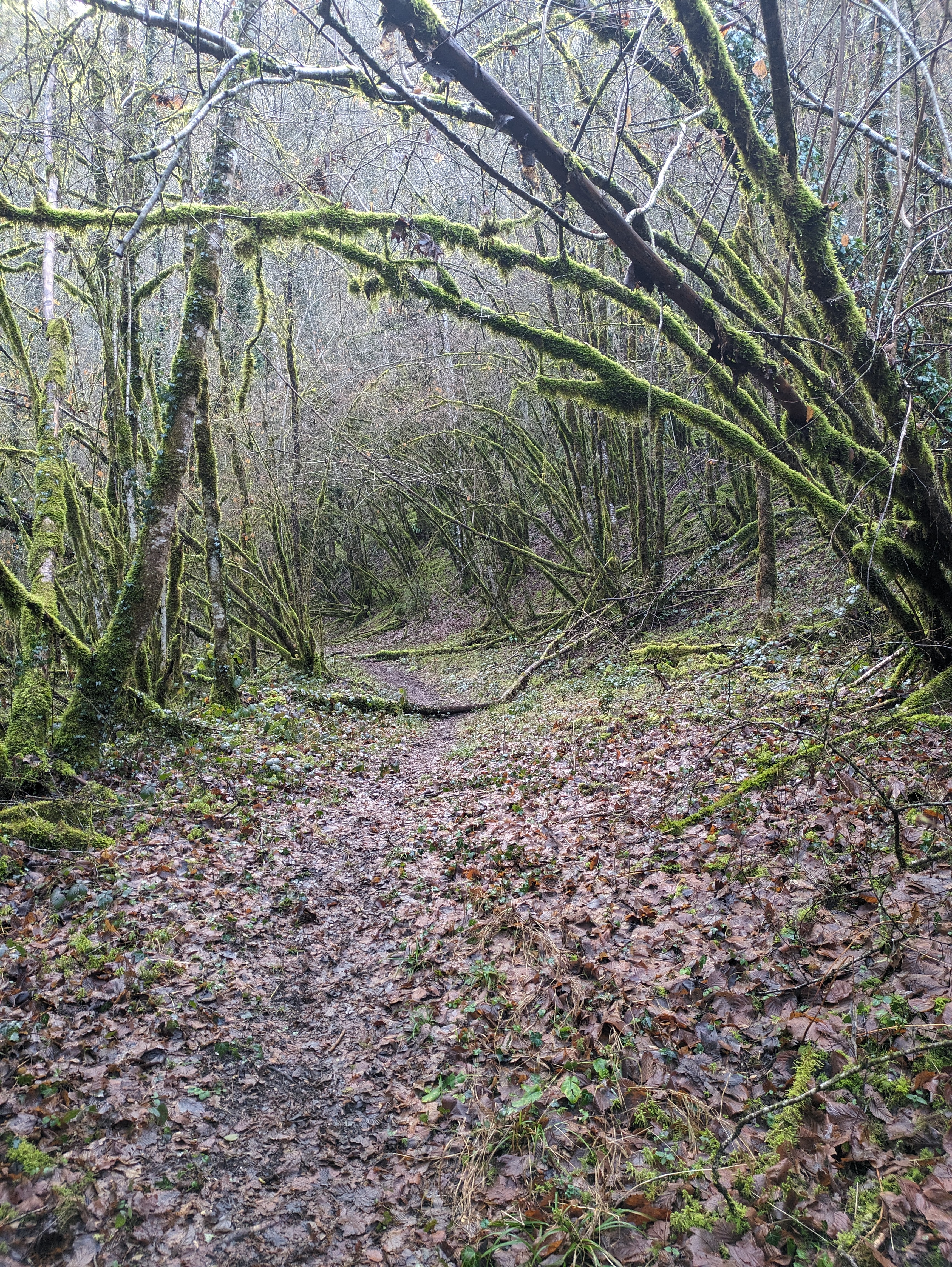Photo n° 3 de l'avis de Lucas.e fait le 28/01/2024 à 22:44