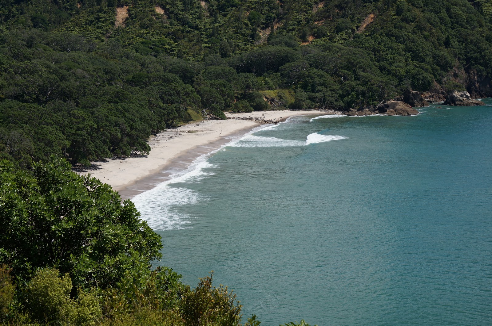 Foto de Orokawa Beach ubicado en área natural
