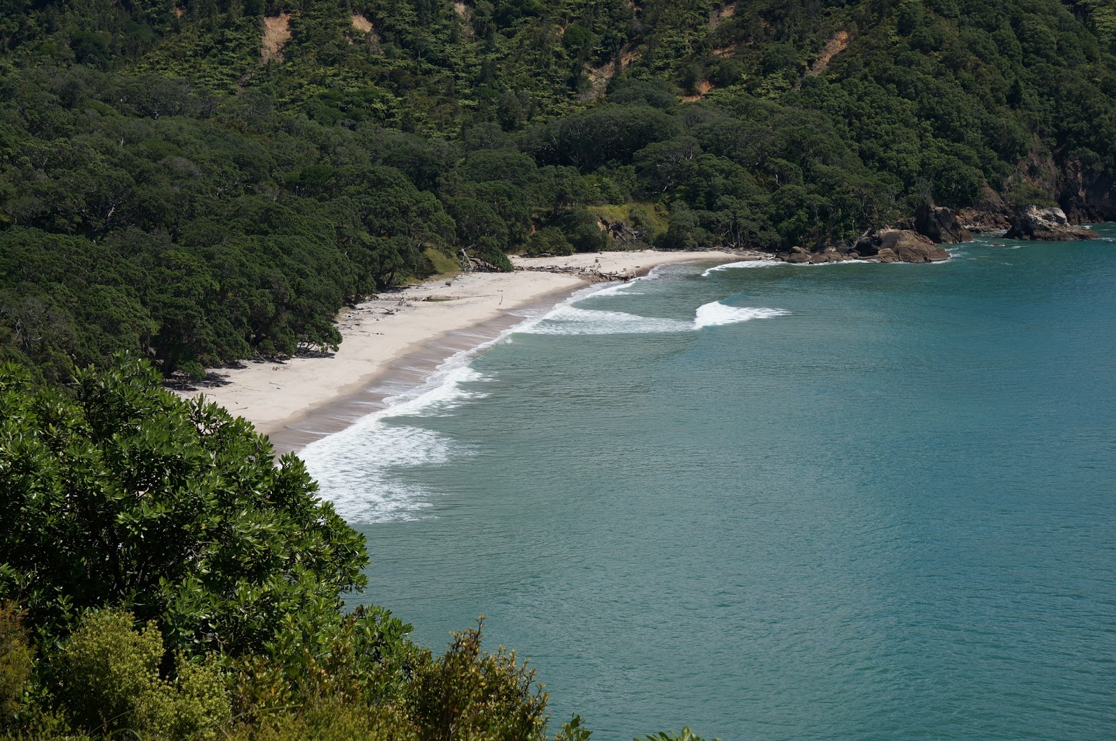 Orokawa Beach'in fotoğrafı uçurumlarla desteklenmiş