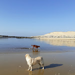 Photo n° 4 de l'avis de Marie.l fait le 08/03/2020 à 08:38 pour Carrefour Drive Dax à Dax