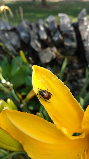 Park «Rose Hill Manor Park», reviews and photos, 1611 N Market St, Frederick, MD 21701, USA