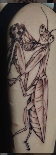 Explore elemental tattoo ideas, creative tattoo ideas in Pittsburgh, available at Human Canvas Tattoo & Piercing Pgh