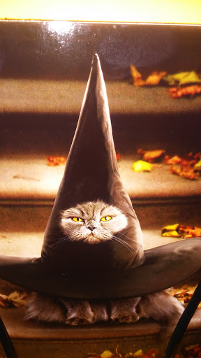 American Restaurant «Cracker Barrel Old Country Store», reviews and photos, 110 Hancock Ln, Mt Holly, NJ 08060, USA