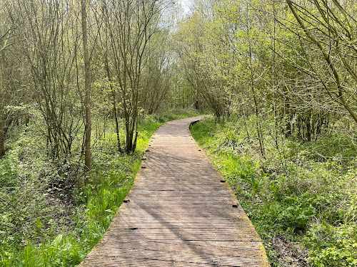 attractions Bois d'infière Bouvines