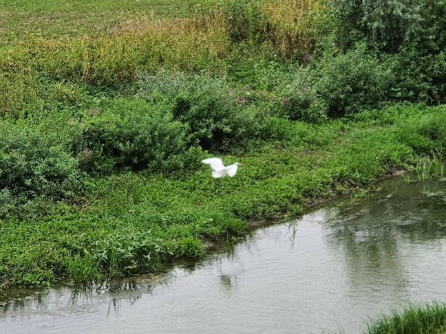 Berettyó-part - Sportpálya