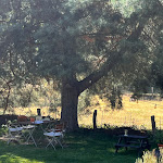 Photo n°4 de l'avis de Jana.� fait le 12/08/2022 à 15:43 sur le  Café Elbeglück à Lenzerwische