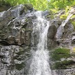 Jones Run Falls Trailhead