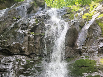 Jones Run Falls Trailhead