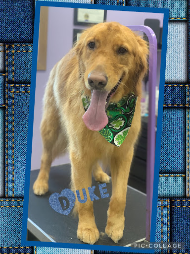 Paws & Claws Pet Grooming and Boarding