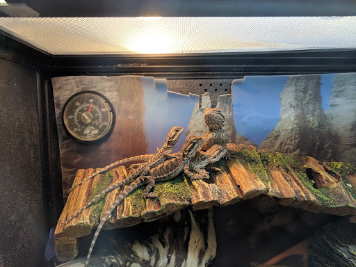 Pet Supply Store «PetSmart», reviews and photos, 5001 Sergeant Rd, Sioux City, IA 51106, USA