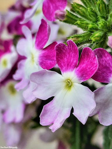 Home Improvement Store «The Home Depot», reviews and photos, 56 Myrick St, Ellsworth, ME 04605, USA