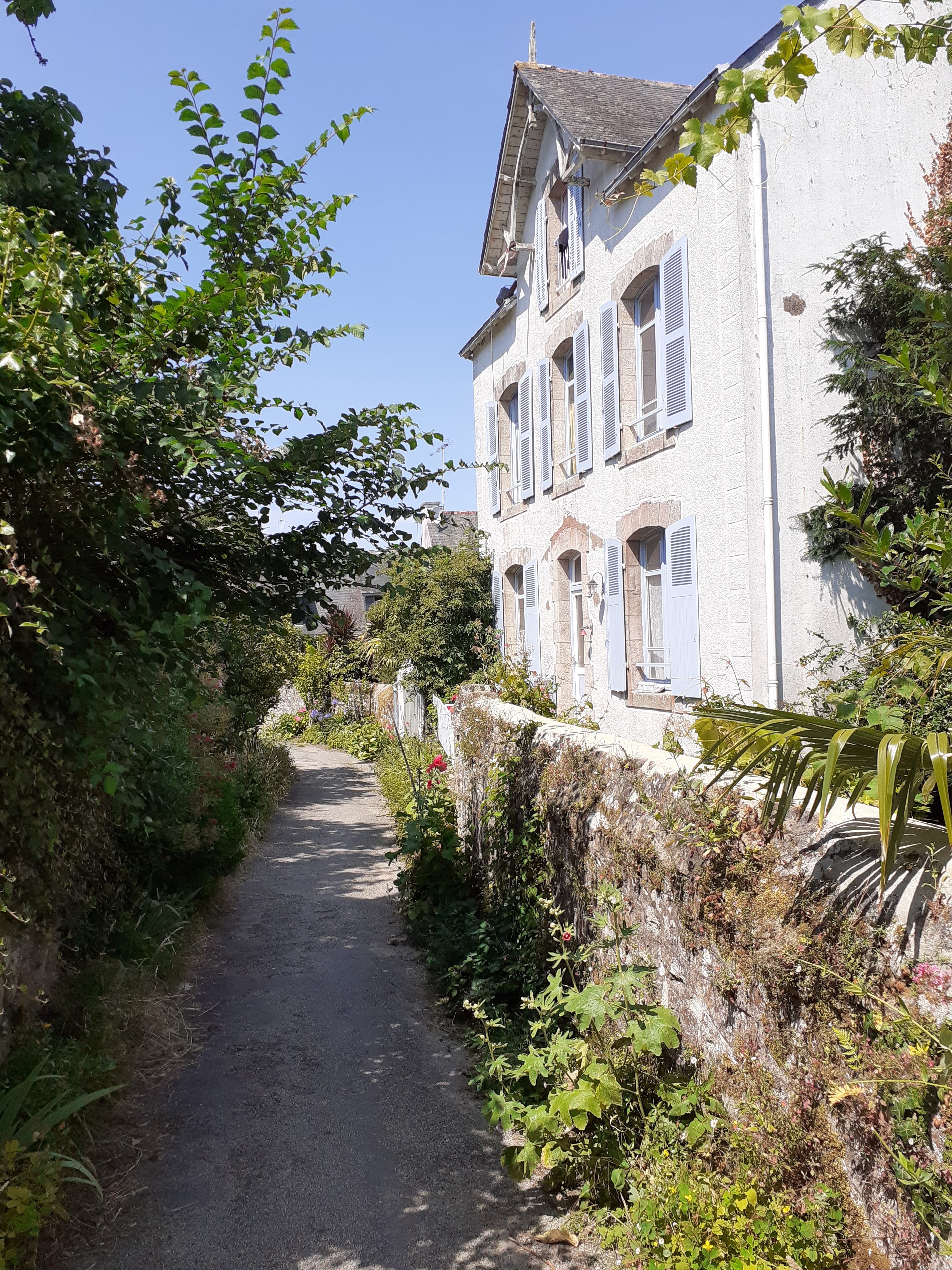 Photo n° 5 de l'avis de Breizh.b fait le 03/07/2020 à 06:47