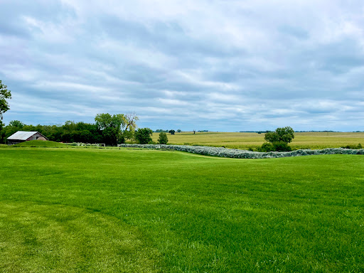 Vineyard «Ardon Creek Vineyard and Winery», reviews and photos, 2391 Independence Ave, Letts, IA 52754, USA