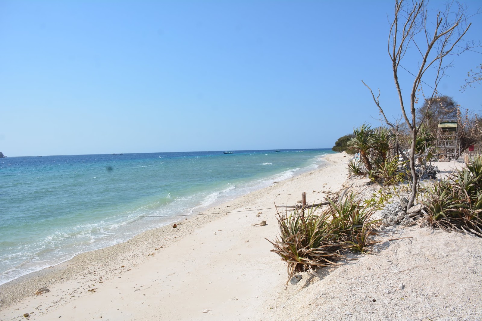 Fotografie cu Gili Meno Bask Nest Beach - locul popular printre cunoscătorii de relaxare