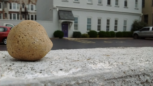 Coffee Shop «Press Coffee Bar», reviews and photos, 257 Wayne Ave, Dayton, OH 45402, USA