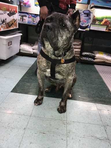 Pet Supply Store «Petland Discounts - City Line», reviews and photos, 1127 Liberty Ave, Brooklyn, NY 11208, USA