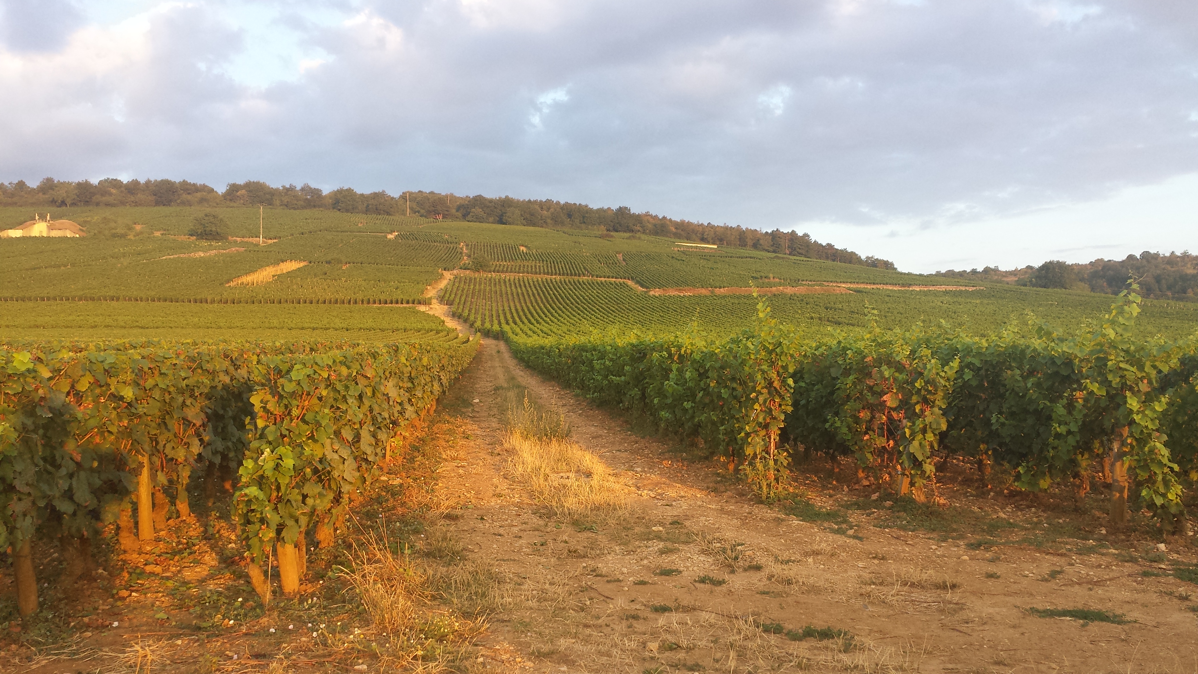 Photo n° 2 de l'avis de Jipi. fait le 17/08/2018 à 20:02