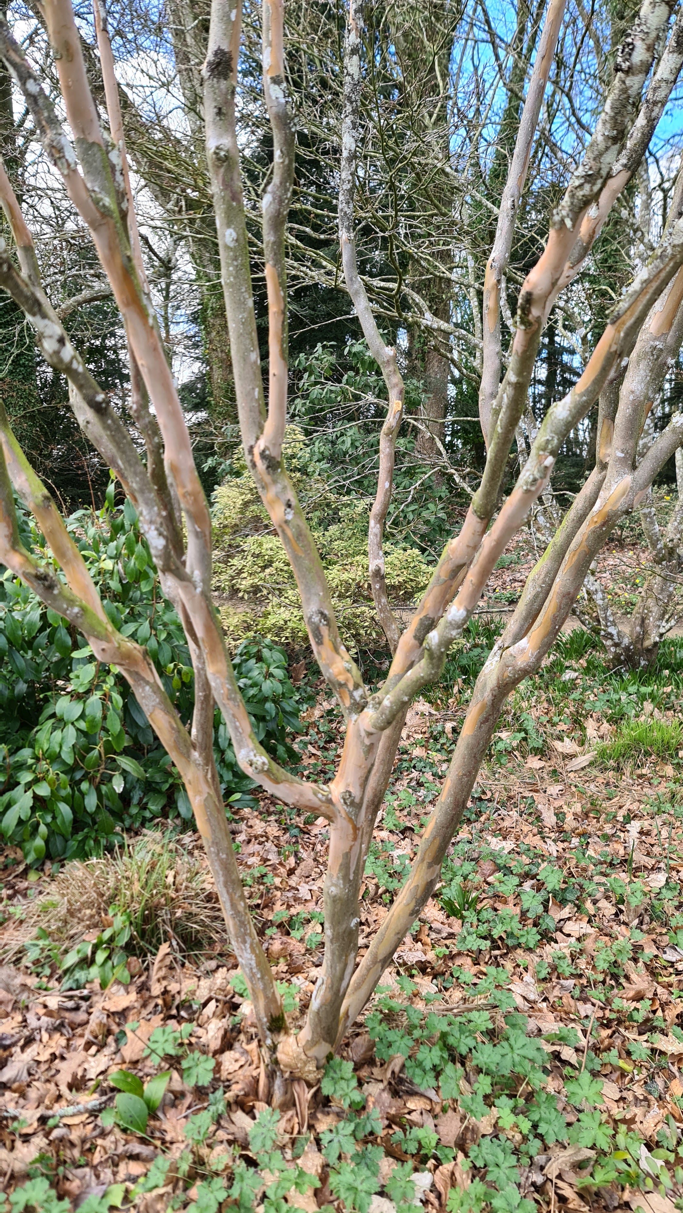 Photo n° 8 de l'avis de Simon.L fait le 14/03/2022 à 19:44