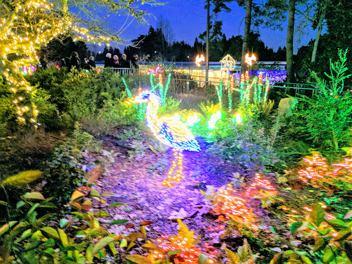 Park «Wilburton Hill Park», reviews and photos, 12400 Main St, Bellevue, WA 98005, USA