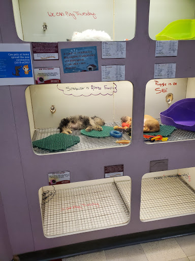 Pet Supply Store «Petland», reviews and photos, 6126 Northwest Hwy, Crystal Lake, IL 60014, USA