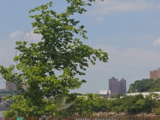 Park «Holcombe Rucker Park», reviews and photos, 280 W 155th St, New York, NY 10039, USA