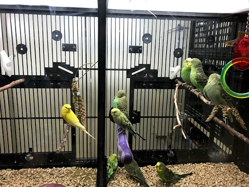 Pet Supply Store «PetSmart», reviews and photos, 5722 Fairmont Pkwy, Pasadena, TX 77505, USA