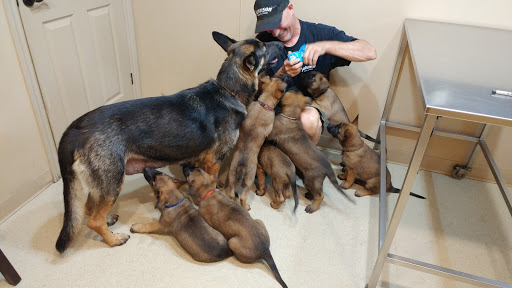 Georgina Veterinary Clinic image