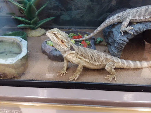 Pet Supply Store «Petco Animal Supplies», reviews and photos, 168 Ames Dr, Barre, VT 05641, USA