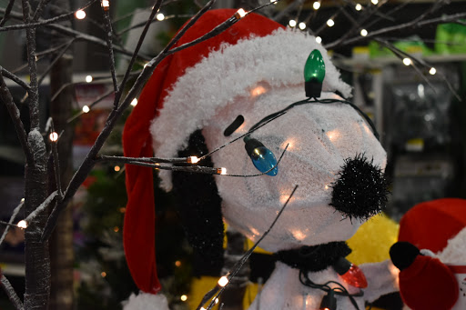 Home Improvement Store «Woodland True Value Home Center», reviews and photos, 345 W Main St, Woodland, CA 95695, USA