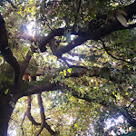 Photo n°4 de l'avis de Gian. fait le 05/09/2021 à 10:14 sur le  La Gira à La Foce della Spezia