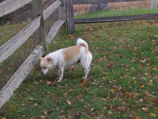 Nature Preserve «Larsen Nature Preserve», reviews and photos, 1720 Western Ave, Waukegan, IL 60085, USA