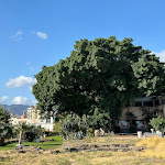 Photo n°2 de l'avis de Francesco.e fait le 01/10/2023 à 18:08 sur le  Ristorante Castello a Mare à Palermo