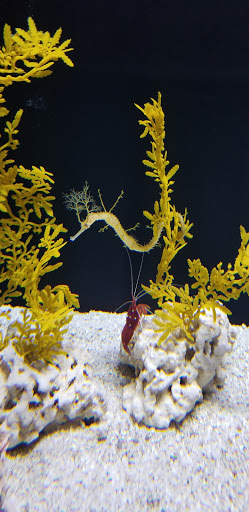 Tropical Fish Store «Cincinnati Aquarium Design», reviews and photos, 6475 E Galbraith Rd # B, Cincinnati, OH 45236, USA