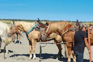 Chenois Creek Horse Rentals image