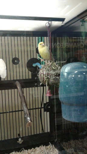 Pet Supply Store «PetSmart», reviews and photos, 901 US-1, North Brunswick Township, NJ 08902, USA