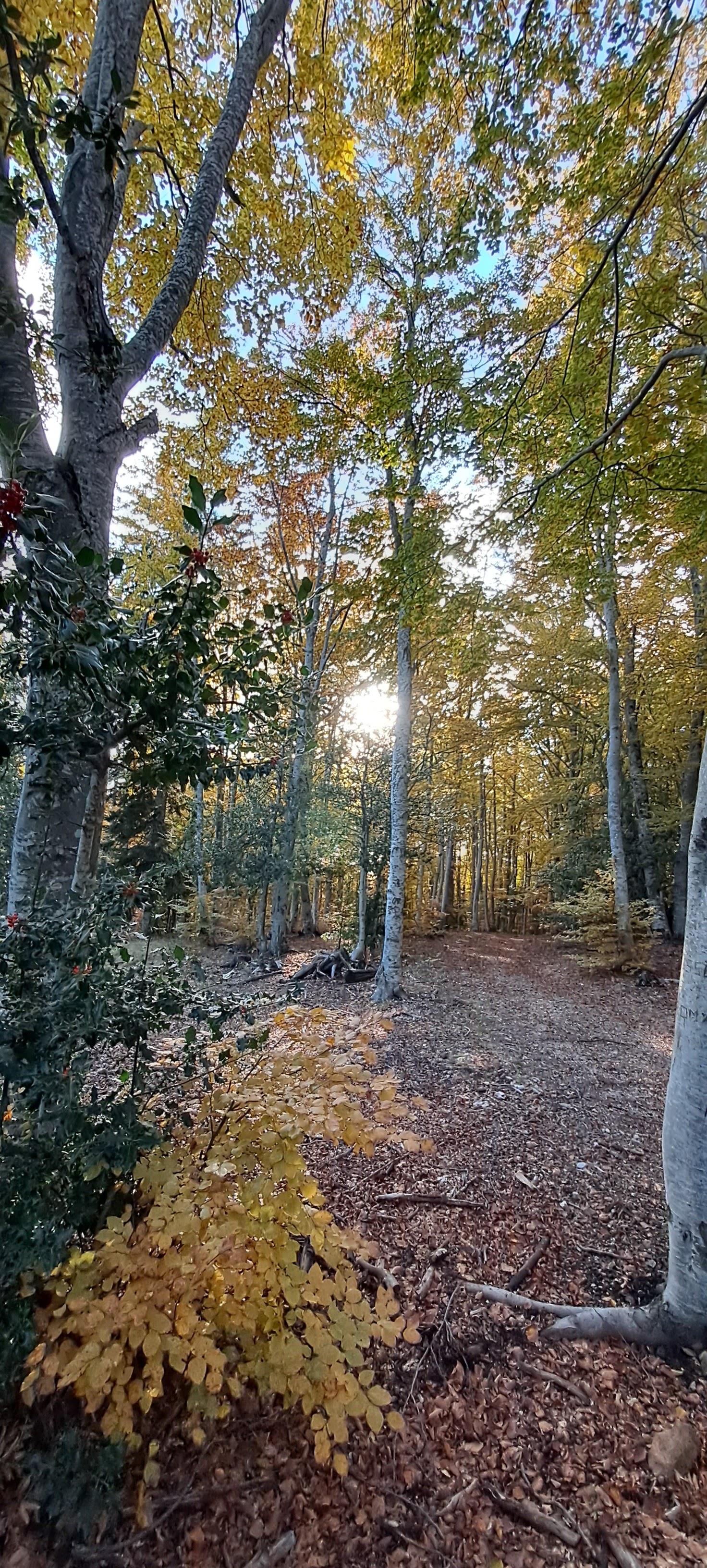 Photo n° 5 de l'avis de Pascal.U fait le 04/12/2023 à 09:48
