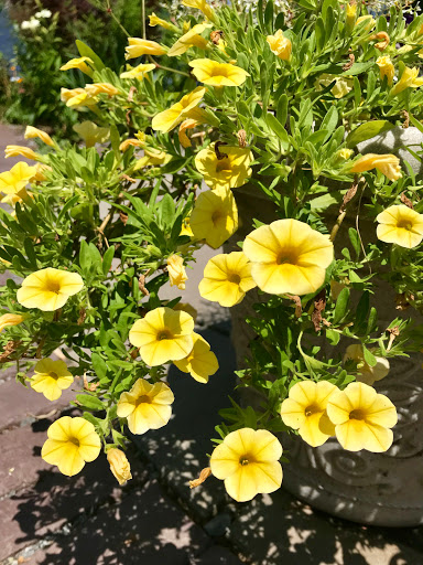 Performing Arts Theater «The Contemporary Theater Company», reviews and photos, 327 Main St, South Kingstown, RI 02879, USA