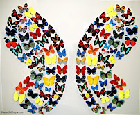 Family Comfort Home Care, LLC