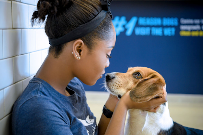 Scenthound Glendale - Photo 3 - Car repair in Glendale, WI, Milwaukee