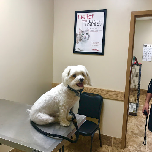 Gailor Animal Hospital