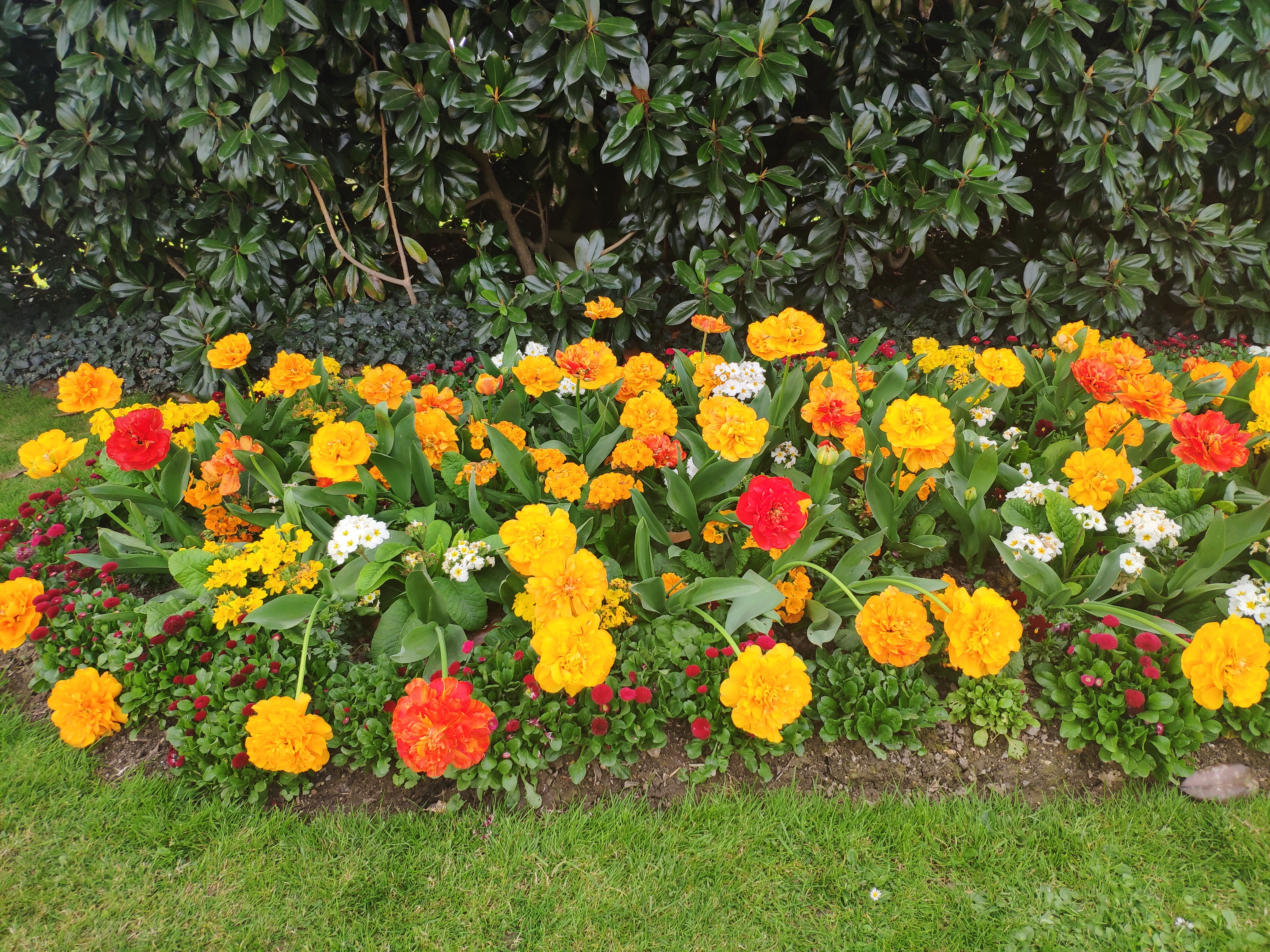 Photo n° 1 de l'avis de Hélène.h fait le 23/04/2019 à 10:48