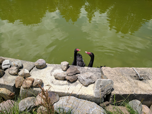 Wildlife Park «The Creature Conservancy», reviews and photos, 4950 Ann Arbor-Saline Rd, Ann Arbor, MI 48103, USA