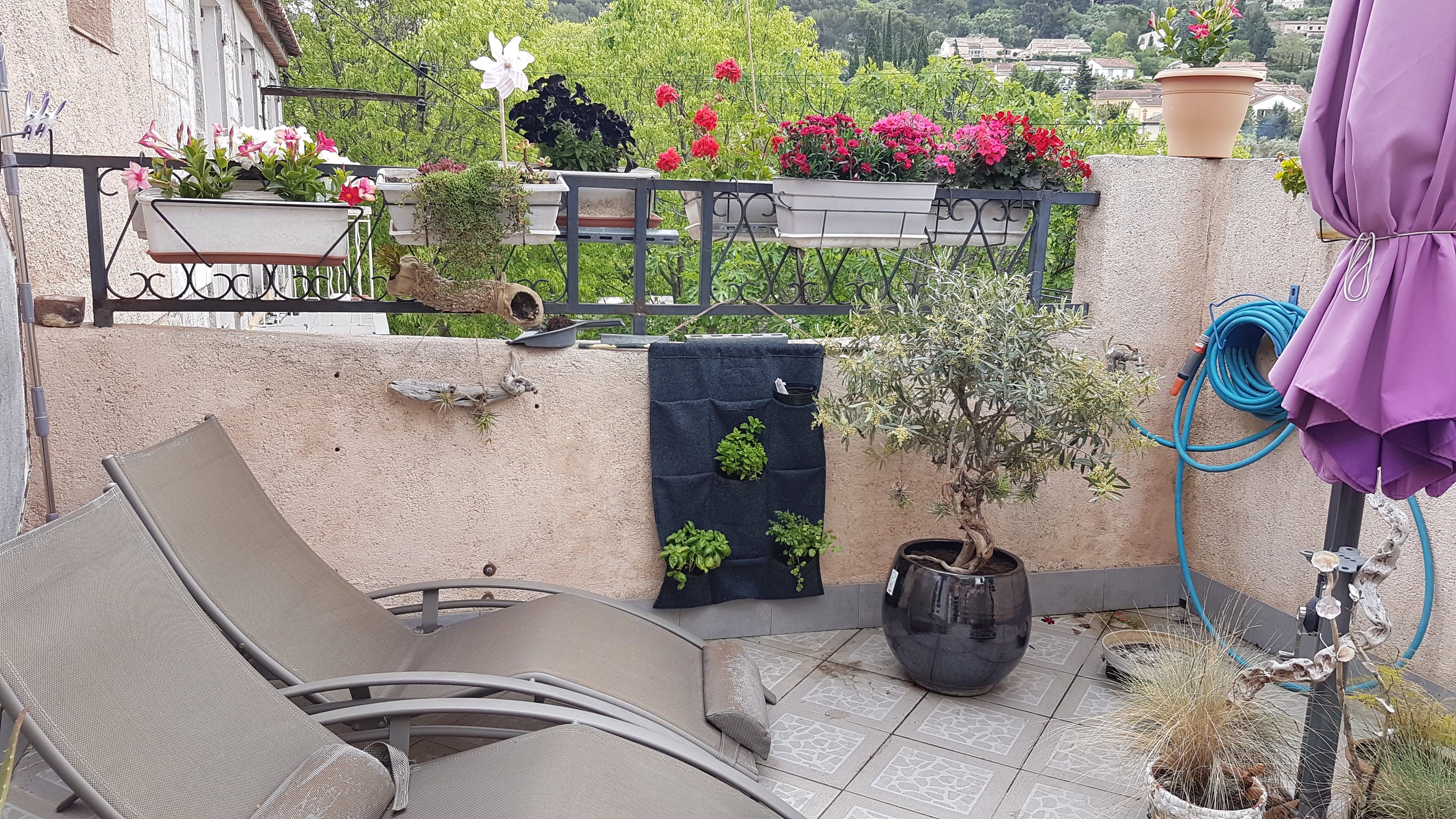 Photo n° 2 de l'avis de Colette.n fait le 08/06/2019 à 16:24