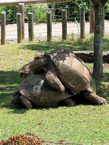 Zoo «Zoo Atlanta», reviews and photos, 800 Cherokee Ave SE, Atlanta, GA 30315, USA