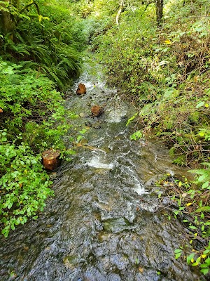 Des Moines Creek Trail Park - photo 2